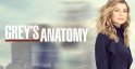 Greys Anatomy - Season 21 (image for) Greys Anatomy - Season 21