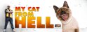 My Cat From Hell - Seasons 1-5 (image for) My Cat From Hell - Seasons 1-5