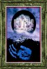 The Outer Limits - Complete Series (image for) The Outer Limits - Complete Series